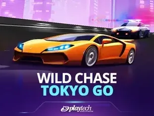 Wild Chase_ Tokyo Go game screenshot